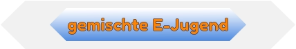 gemischte E-Jugend