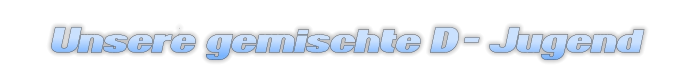 Unsere  gemischte  D -  Jugend