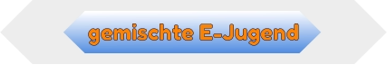 gemischte E-Jugend